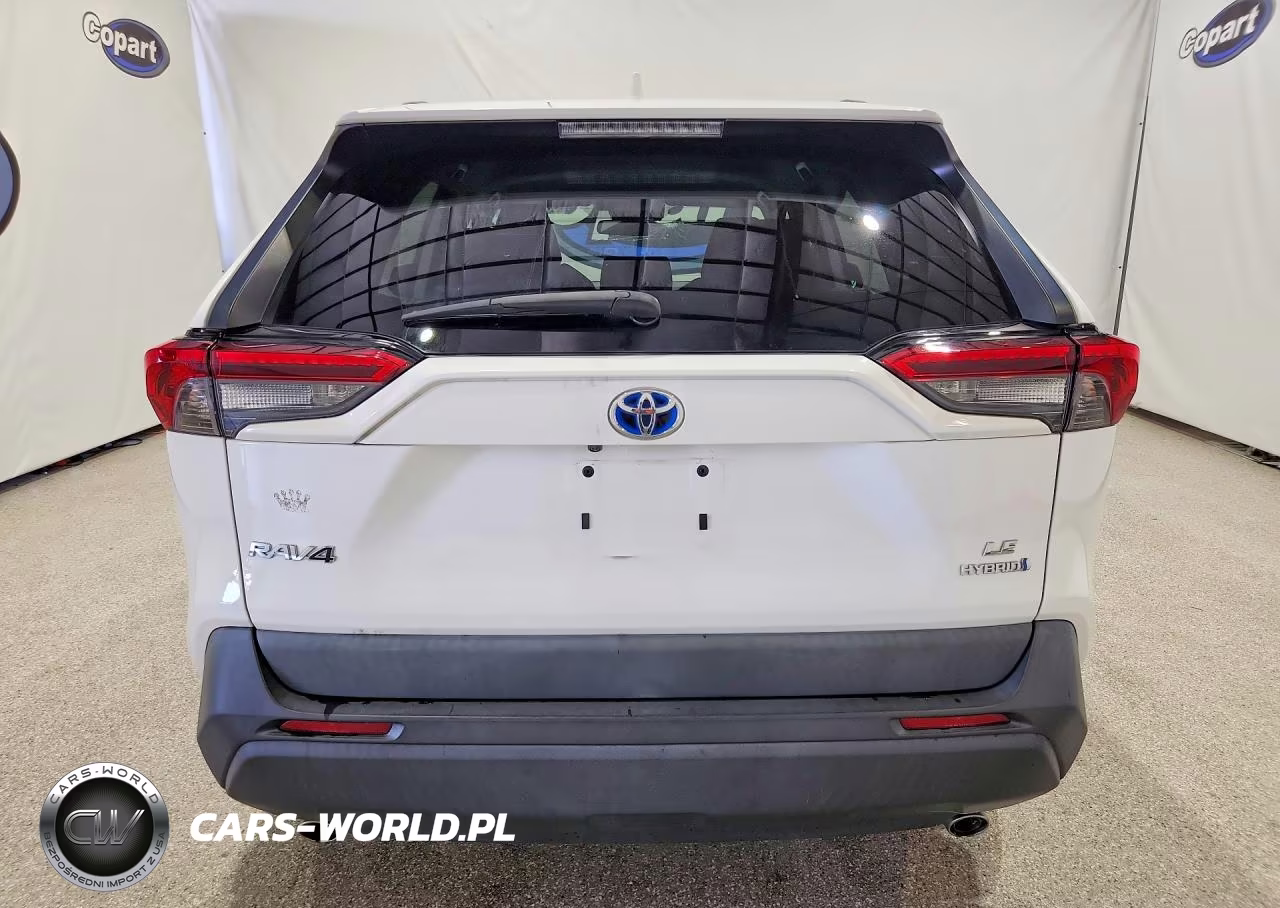 2019 Toyota Rav4 Le VIN:2T3MWRFV9KW016963 - 6