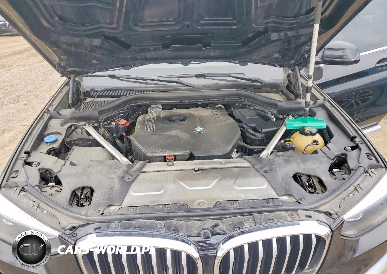 2019 BMW X3 Sdrive30I VIN:5UXTR7C50KLF23766 - 12