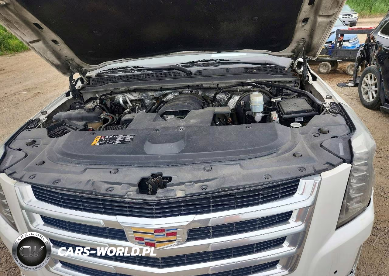 2017 Cadillac Escalade Luxury VIN:1GYS4BKJ9HR158157 - 12