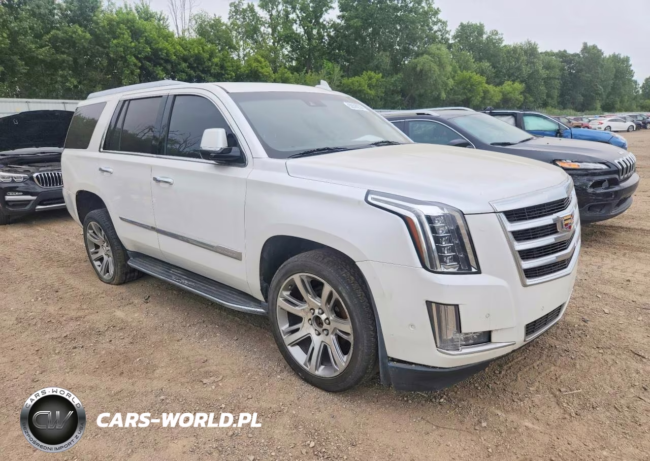 2017 Cadillac Escalade Luxury VIN:1GYS4BKJ9HR158157 - 4