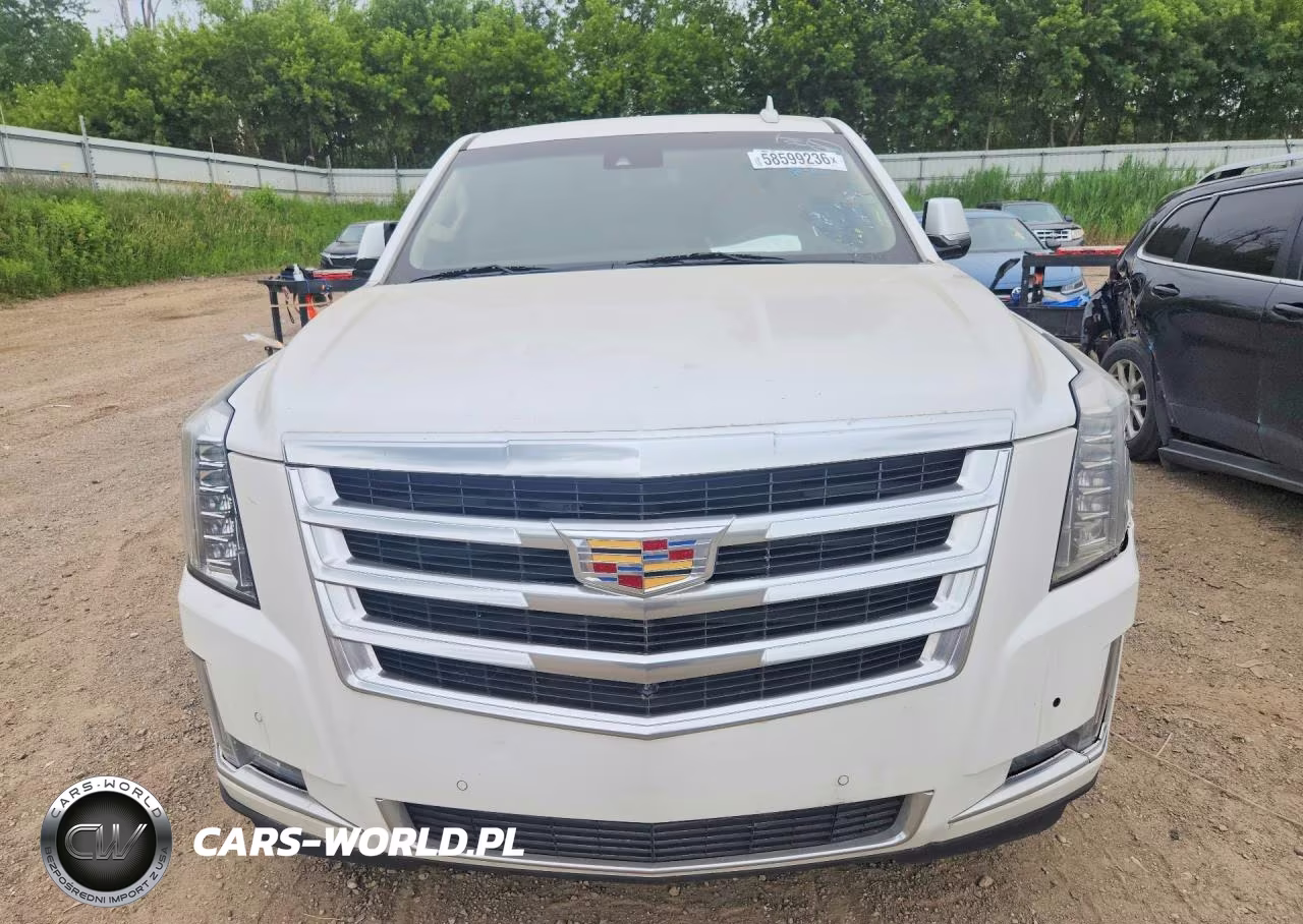 2017 Cadillac Escalade Luxury VIN:1GYS4BKJ9HR158157 - 5