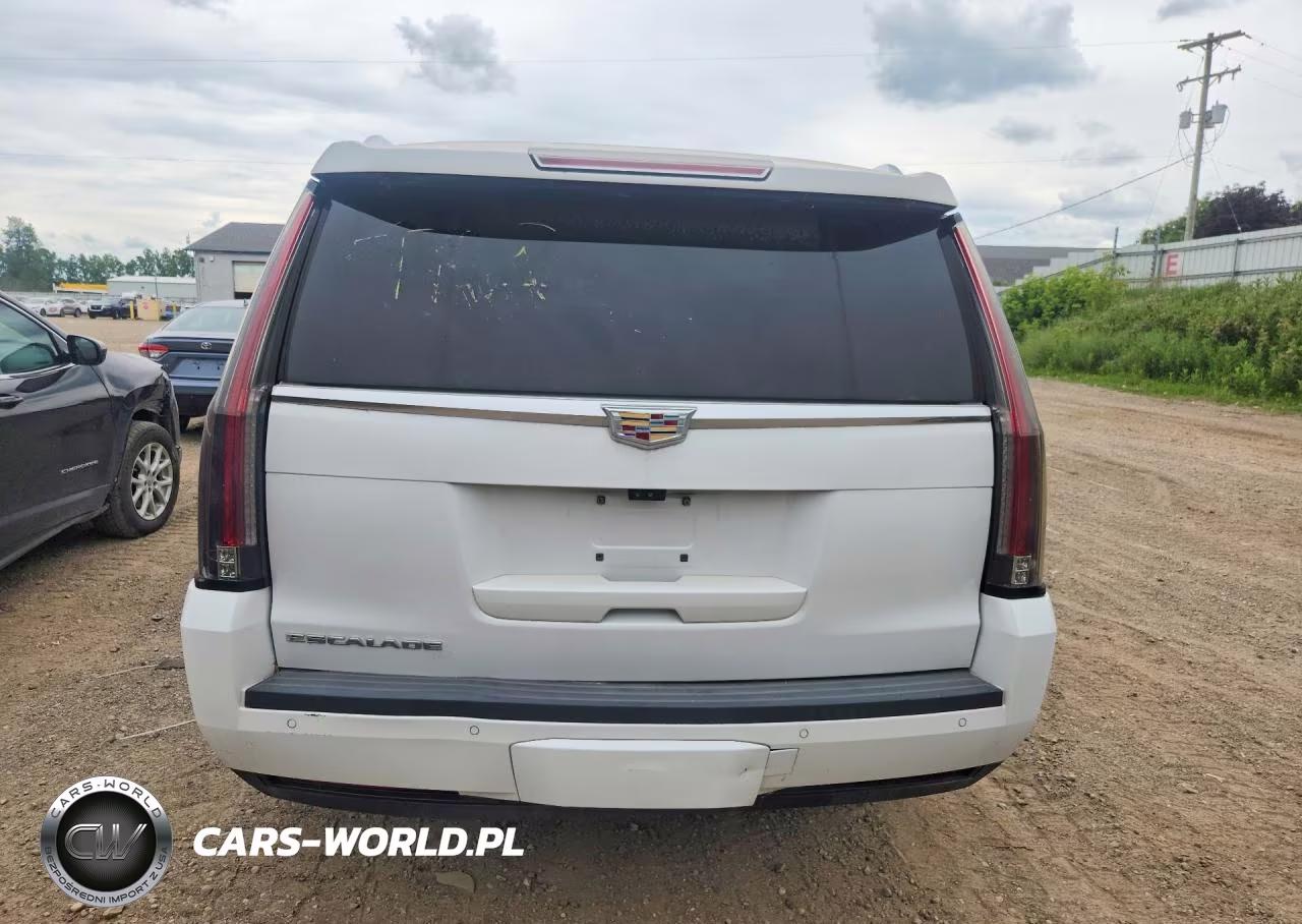 2017 Cadillac Escalade Luxury VIN:1GYS4BKJ9HR158157 - 6