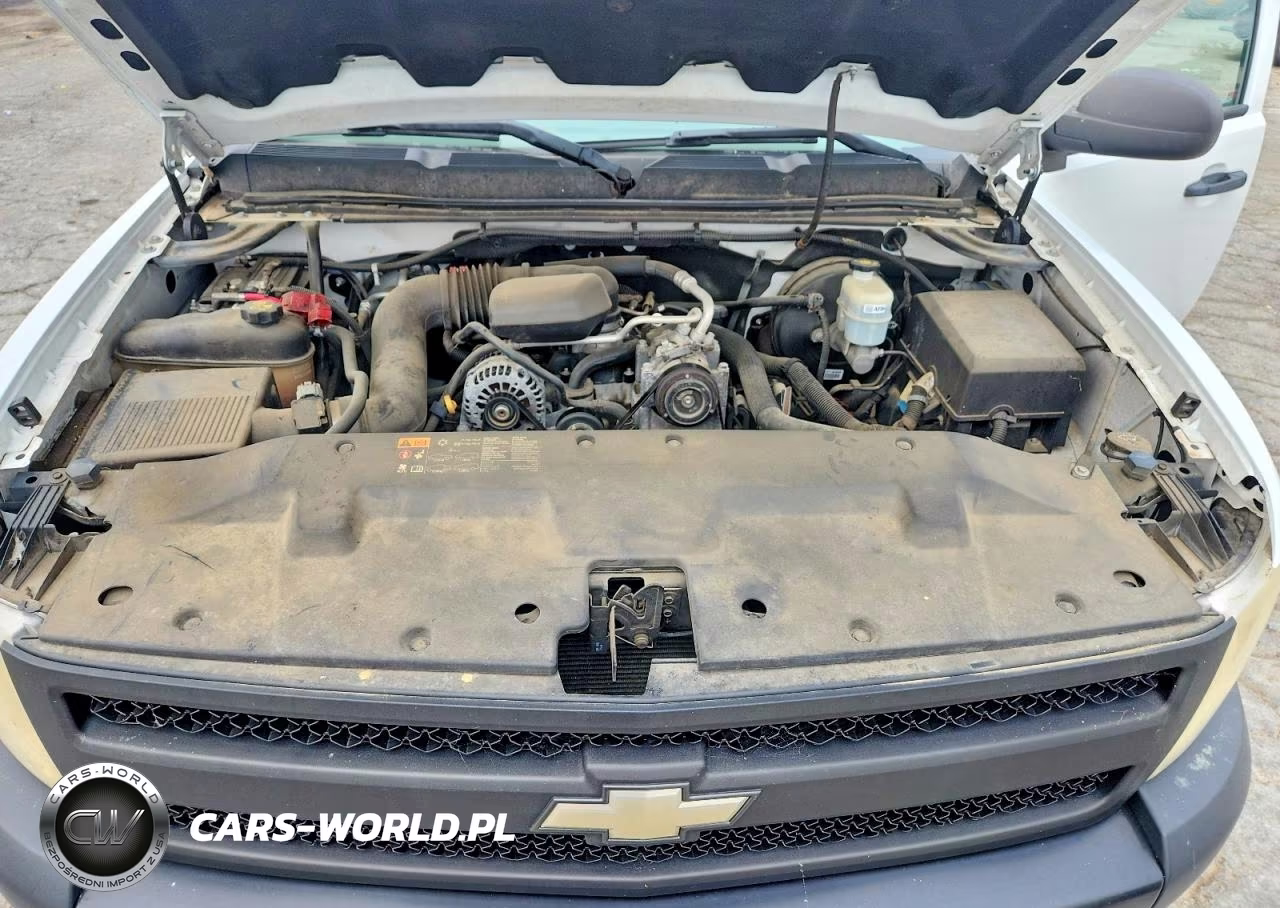 2011 Chevrolet Silverado Work Truck VIN:1GCNCPEX1BZ298858 - 11