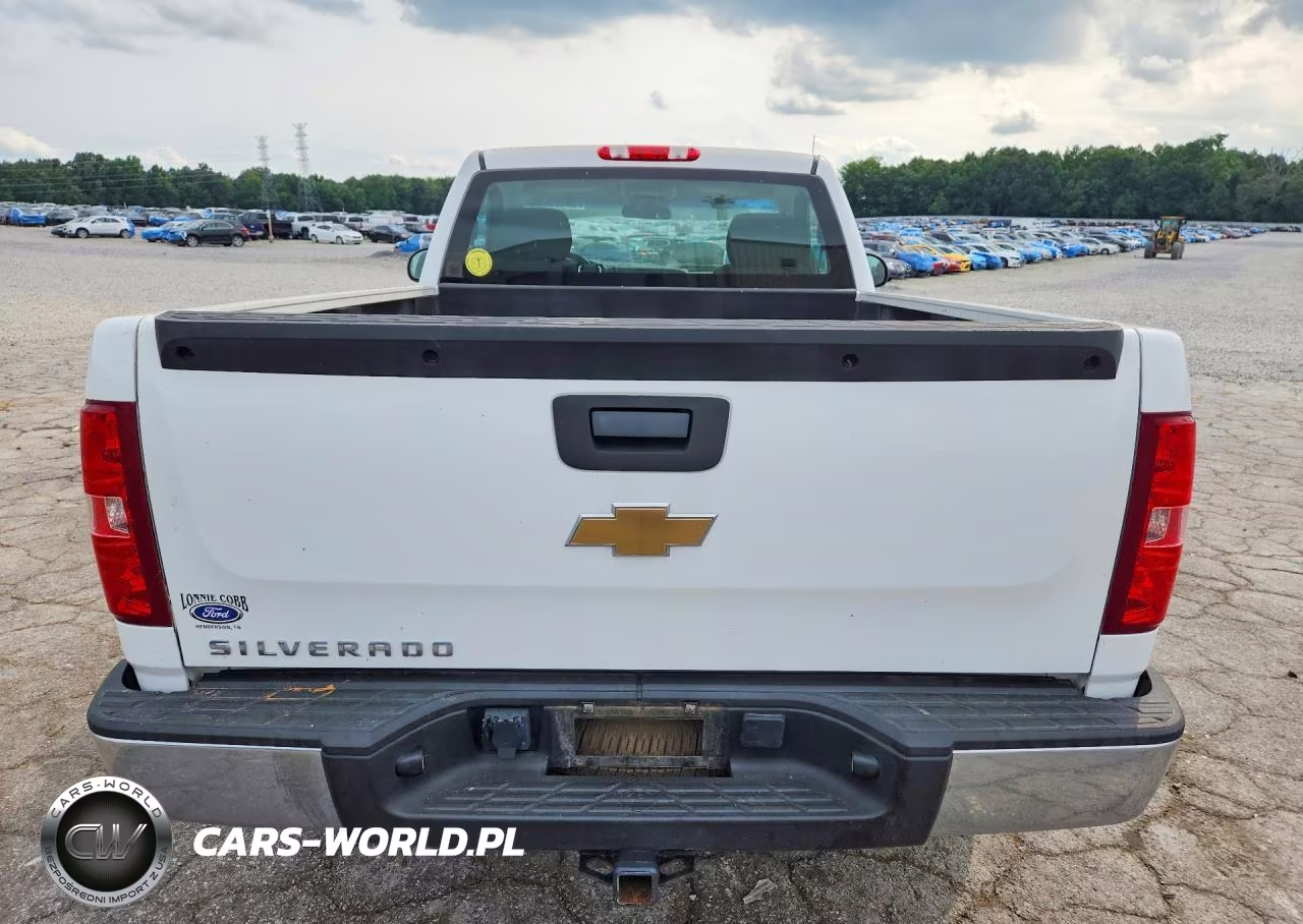 2011 Chevrolet Silverado Work Truck VIN:1GCNCPEX1BZ298858 - 6