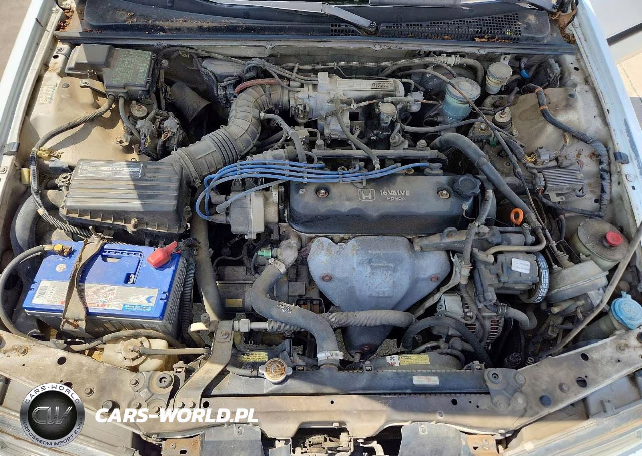 1993 Honda Accord Lx VIN:1HGCB7555PA005267 - 11