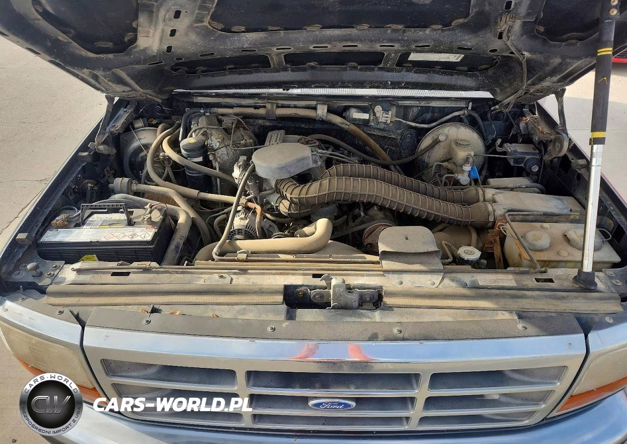 1995 Ford F-150 VIN:1FTEX14H4SKC17193 - 11