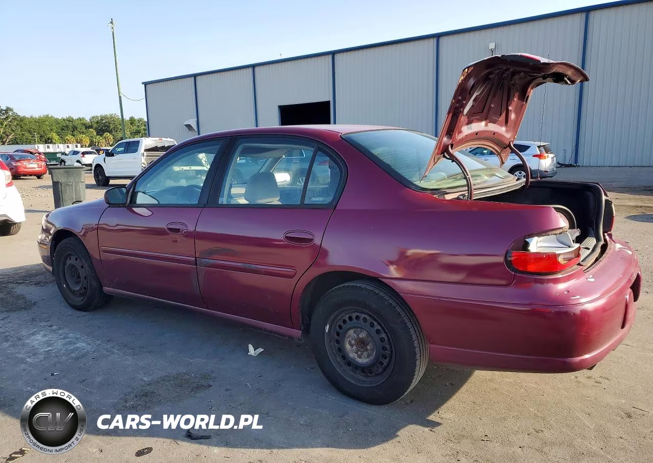 2001 Chevrolet Malibu VIN:1G1ND52J916197481 - 2