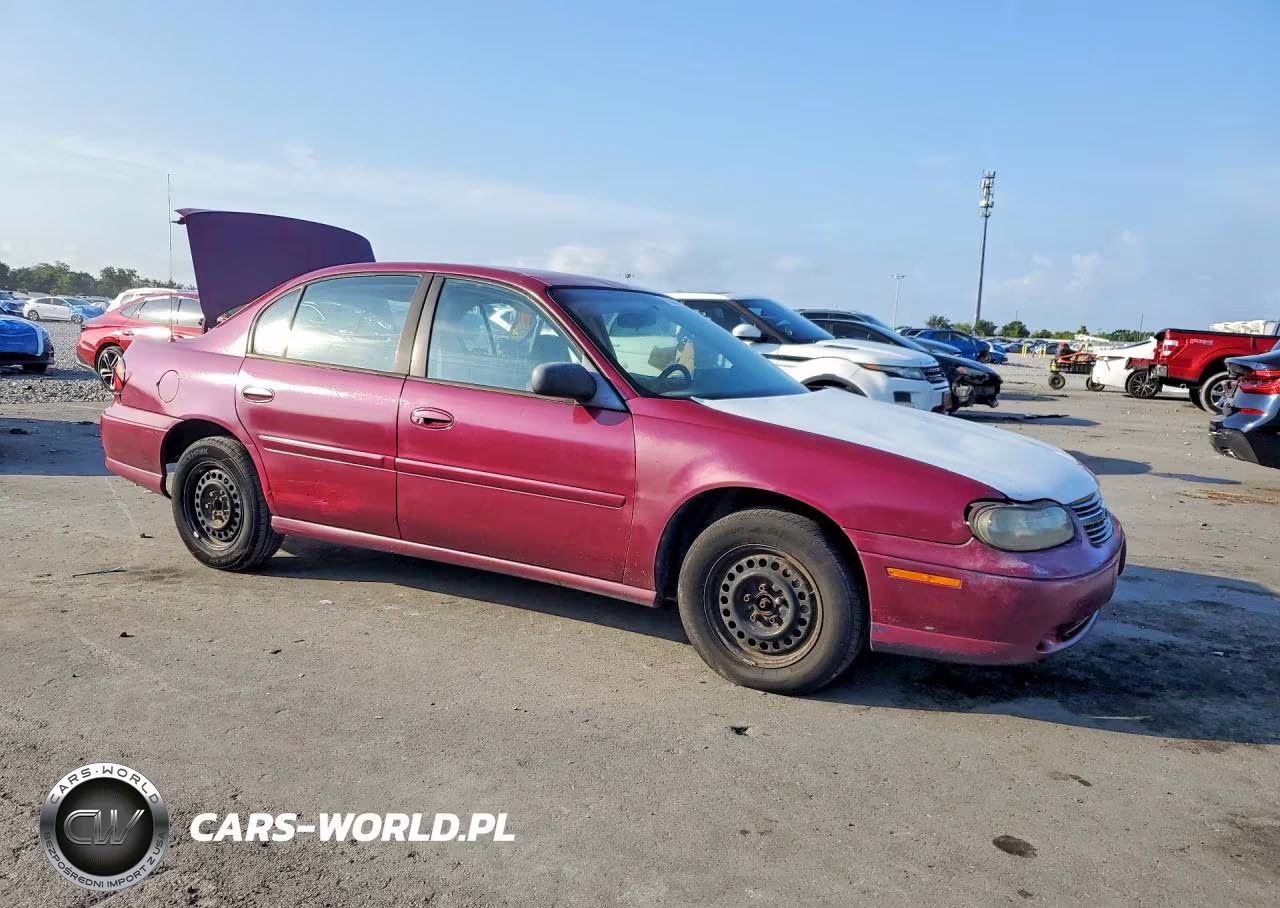 2001 Chevrolet Malibu VIN:1G1ND52J916197481 - 4