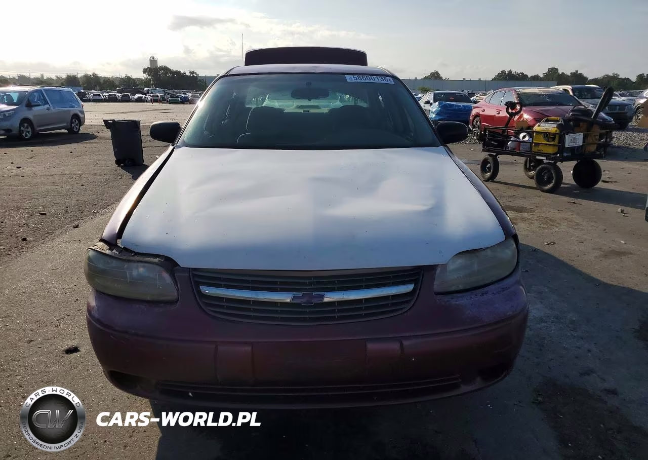 2001 Chevrolet Malibu VIN:1G1ND52J916197481 - 5