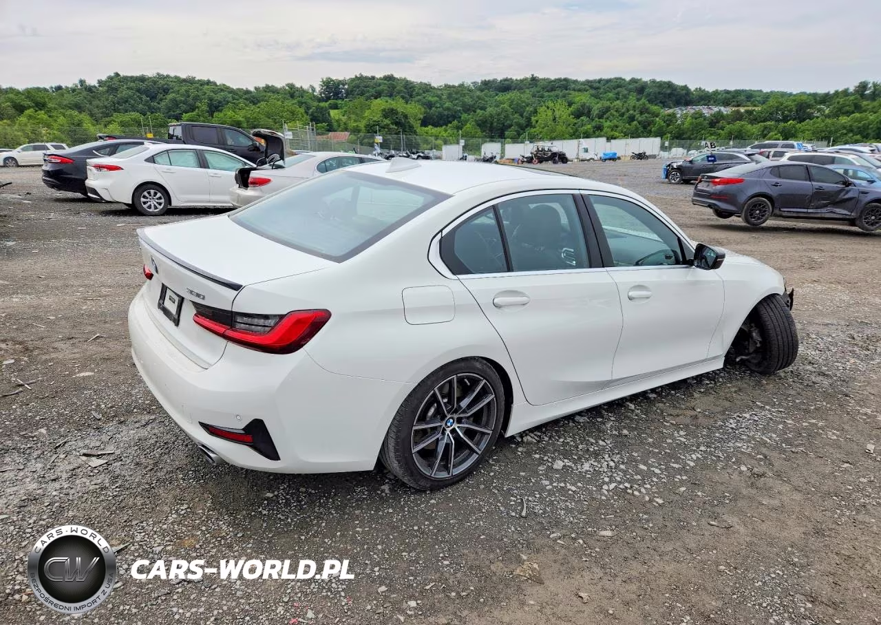 2019 BMW 330Xi VIN:WBA5R7C53KFH26138 - 3