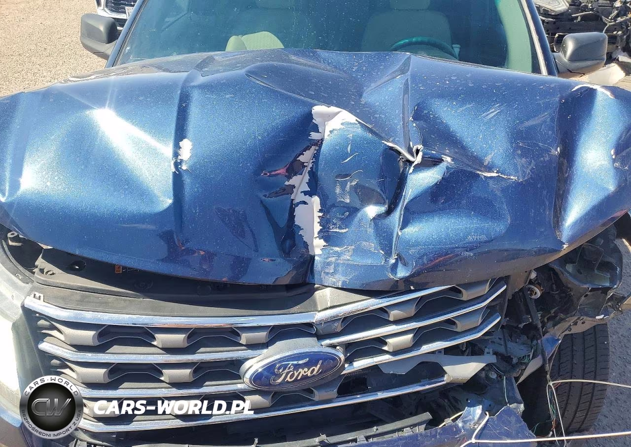 2017 Ford Explorer VIN:1FM5K7BH1HGA60007 - 12