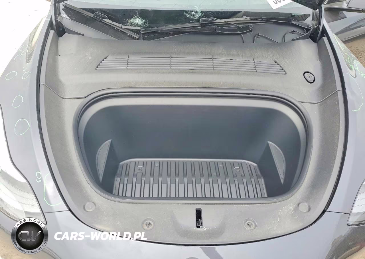 2024 Tesla Model Y VIN:7SAYGDEE0RF024973 - 11