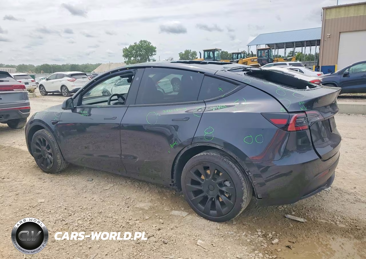 2024 Tesla Model Y VIN:7SAYGDEE0RF024973 - 2