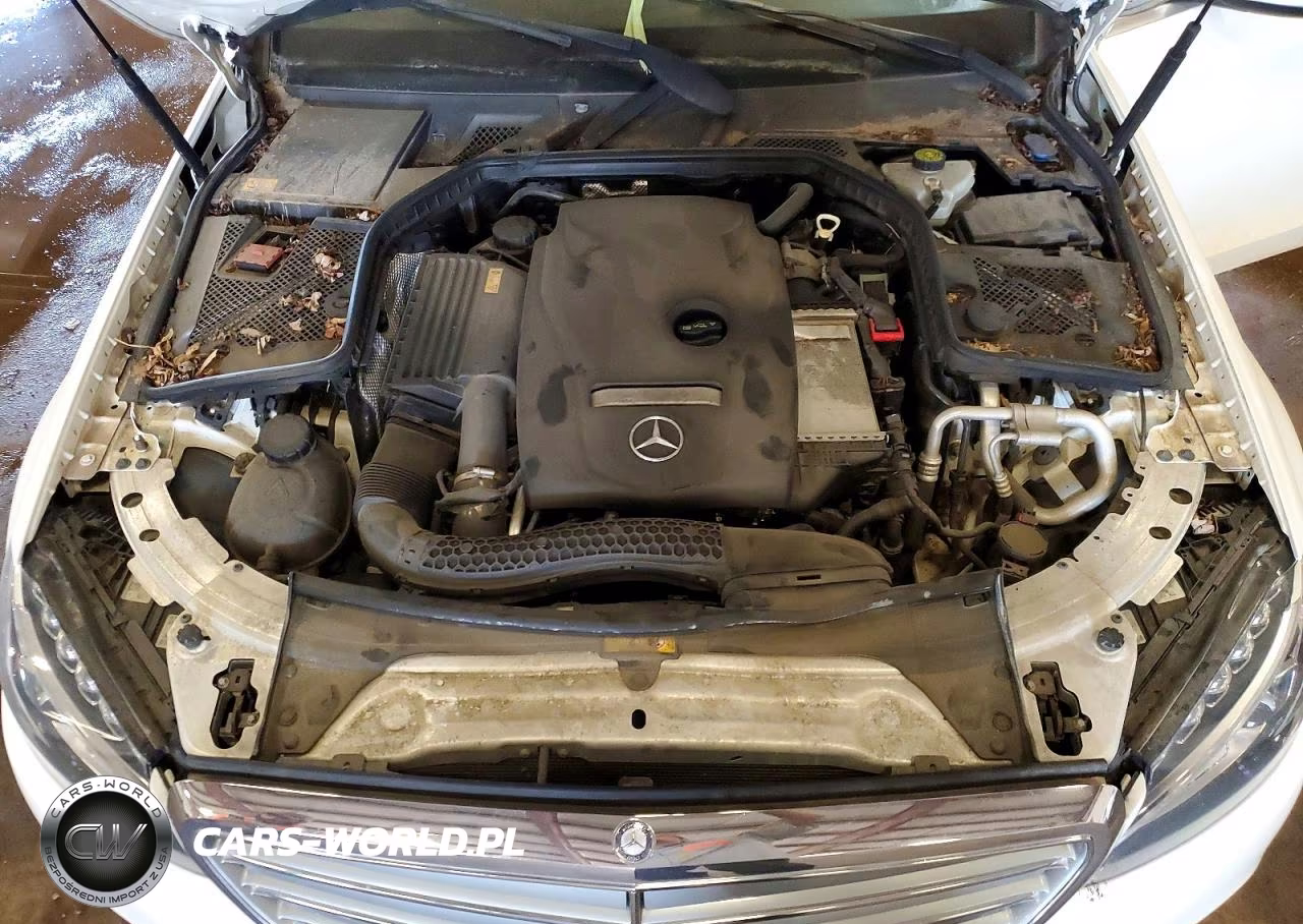 2015 Mercedes-Benz C 300 4Matic VIN:55SWF4KB9FU009237 - 11