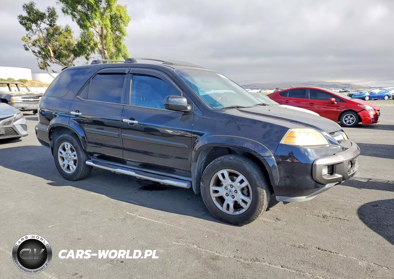 2004 Acura Mdx Touring VIN:2HNYD18904H524602 - 4
