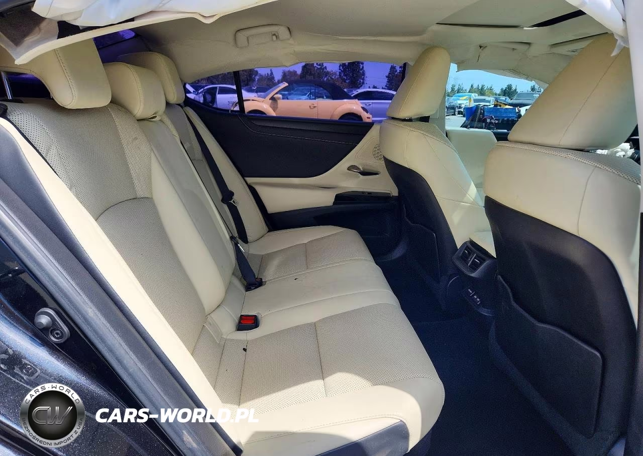 2022 Lexus Es 300H Base VIN:58ADA1C12NU026032 - 10