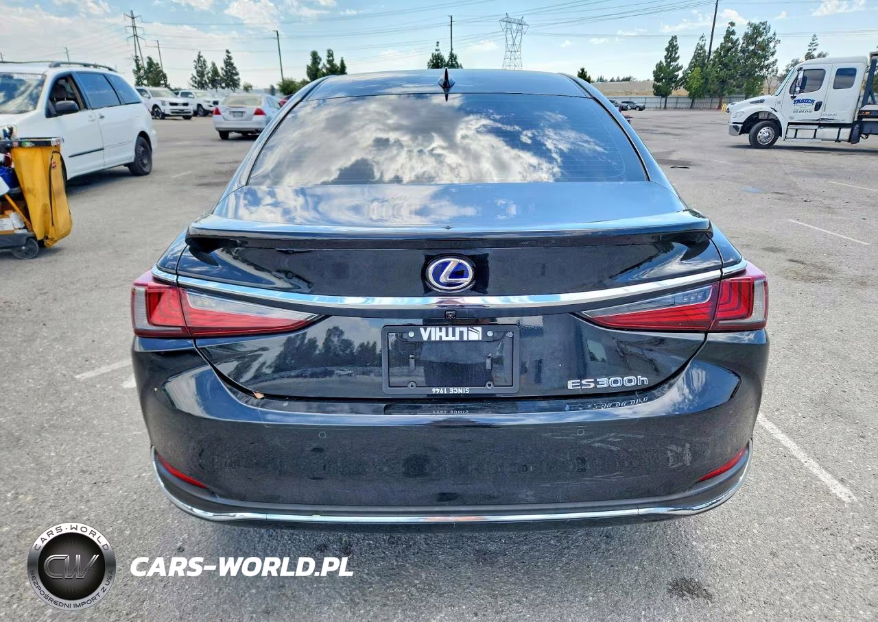 2022 Lexus Es 300H Base VIN:58ADA1C12NU026032 - 6