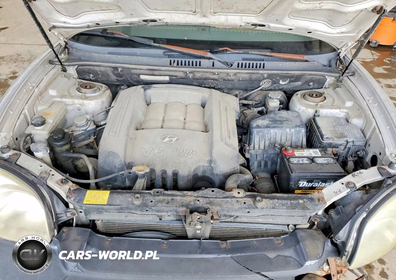 2004 Hyundai Santa Fe Gls VIN:KM8SC73D54U814257 - 12