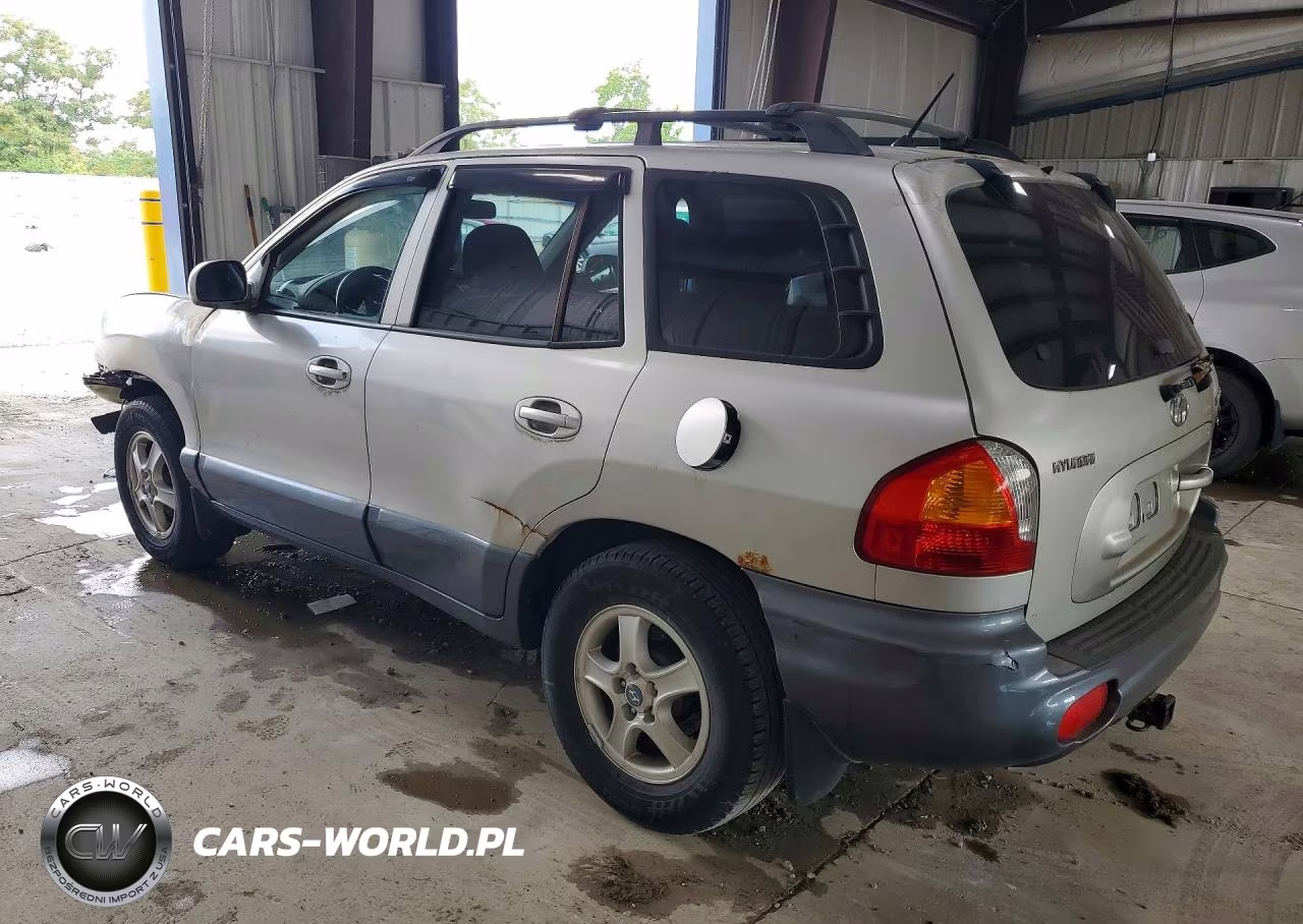 2004 Hyundai Santa Fe Gls VIN:KM8SC73D54U814257 - 2
