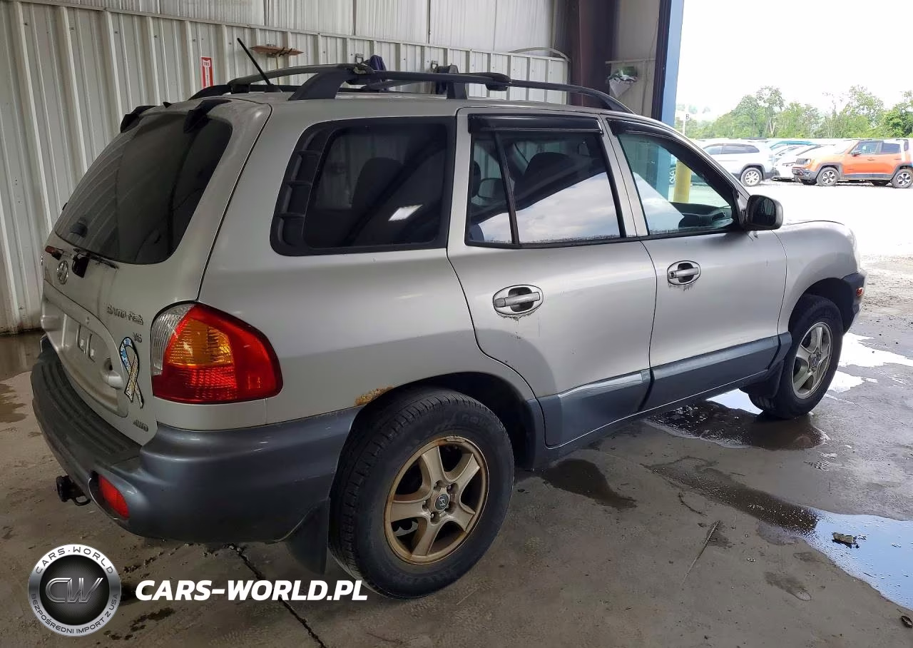 2004 Hyundai Santa Fe Gls VIN:KM8SC73D54U814257 - 3