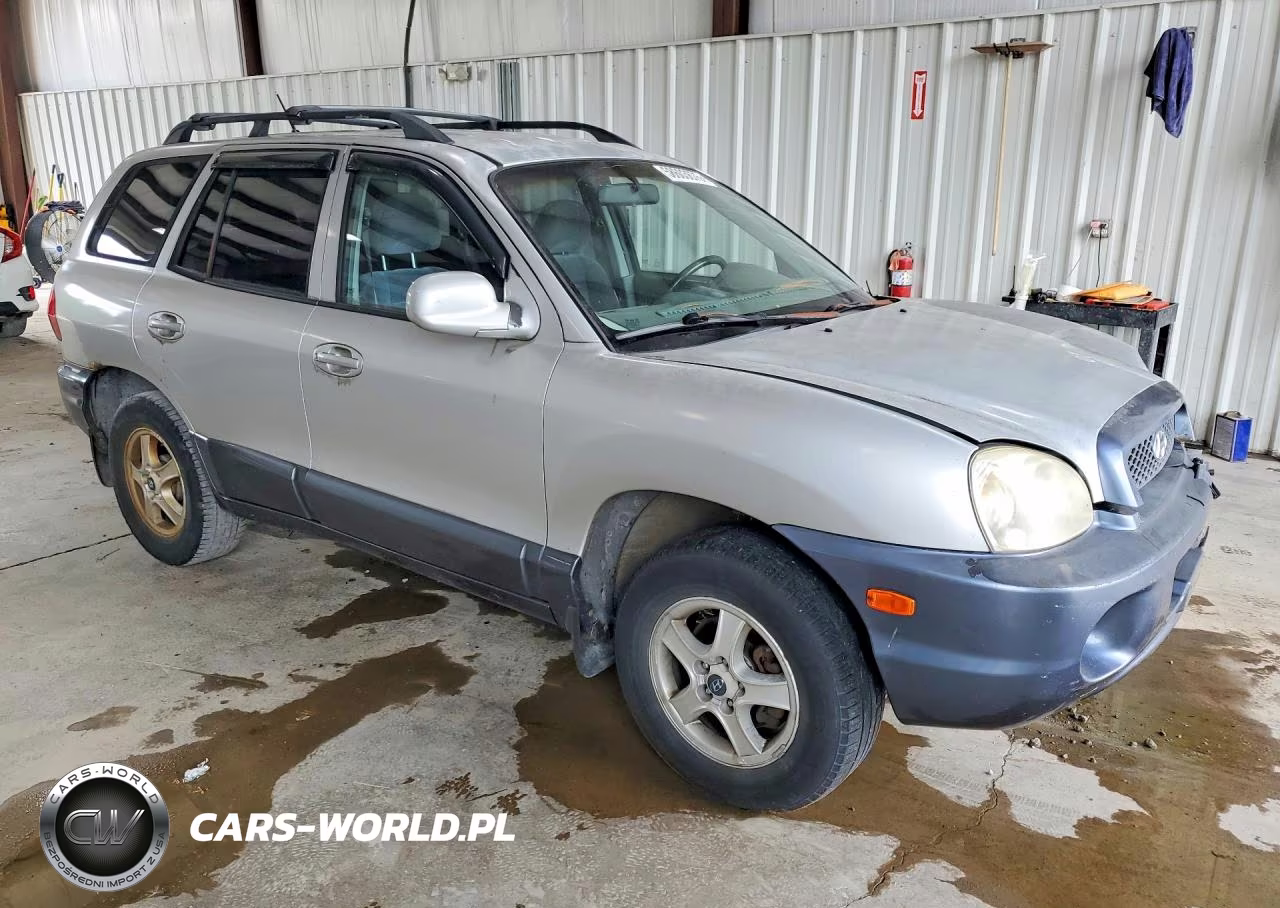 2004 Hyundai Santa Fe Gls VIN:KM8SC73D54U814257 - 4