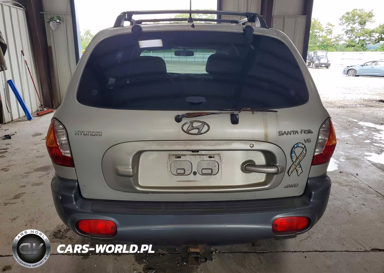 2004 Hyundai Santa Fe Gls VIN:KM8SC73D54U814257 - 6