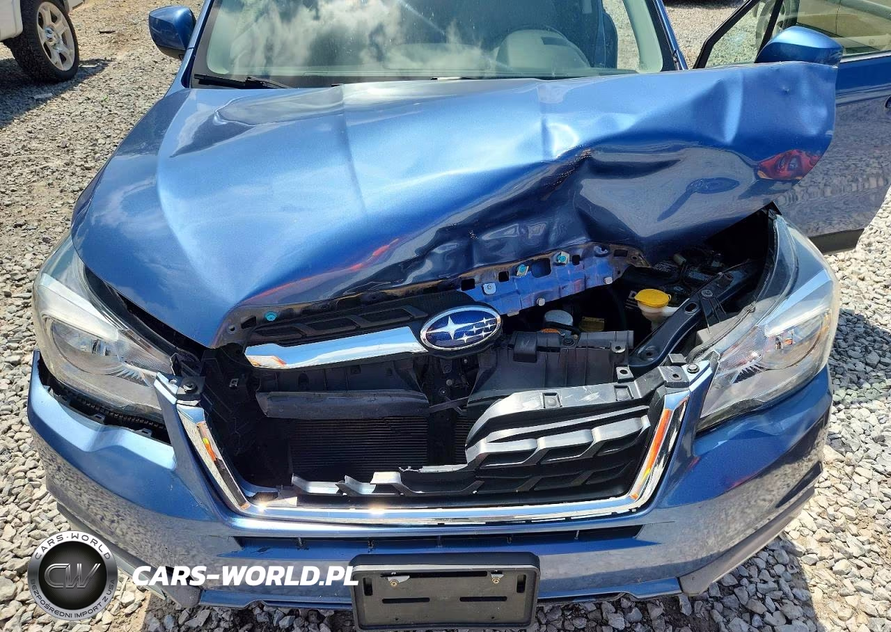 2018 Subaru Forester 2.5I Limited VIN:JF2SJAJC0JH546676 - 12