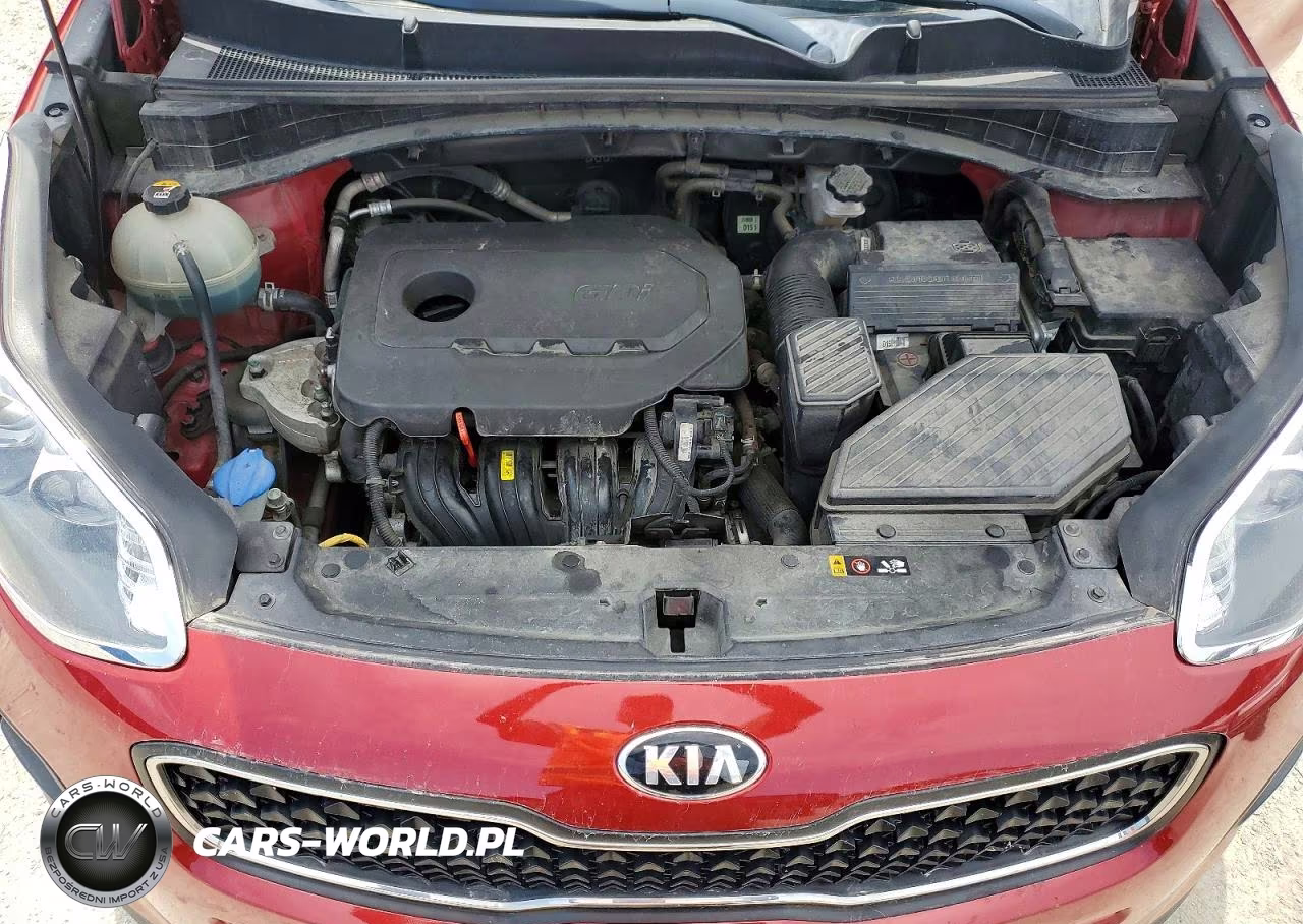 2018 Kia Sportage Lx VIN:KNDPM3AC7J7455868 - 12