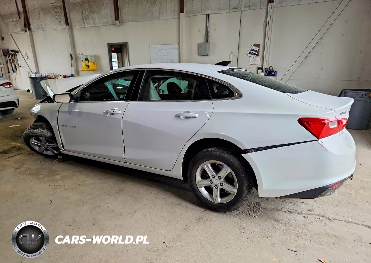 2019 Chevrolet Malibu Ls VIN:1G1ZB5ST8KF133135 - 2