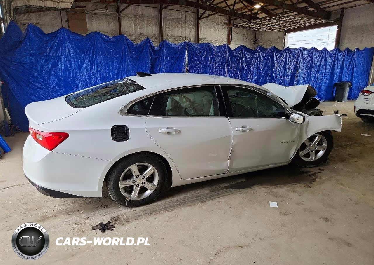 2019 Chevrolet Malibu Ls VIN:1G1ZB5ST8KF133135 - 3
