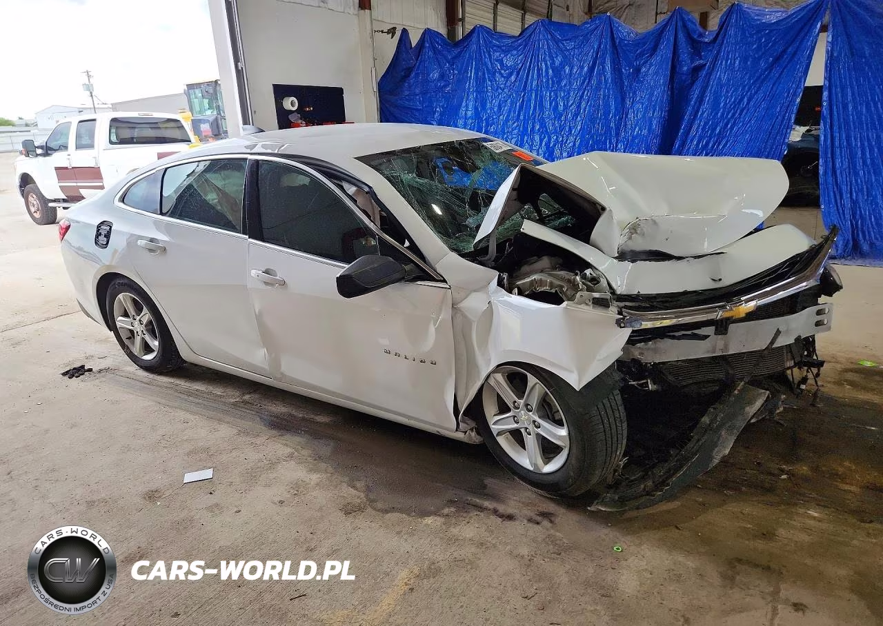 2019 Chevrolet Malibu Ls VIN:1G1ZB5ST8KF133135 - 4