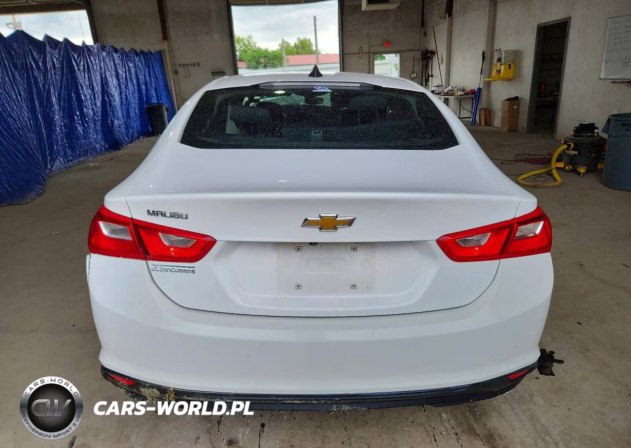 2019 Chevrolet Malibu Ls VIN:1G1ZB5ST8KF133135 - 6