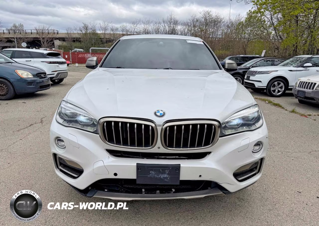 2017 BMW X6 xDrive50I VIN:5UXKU6C37H0W38407 - 14