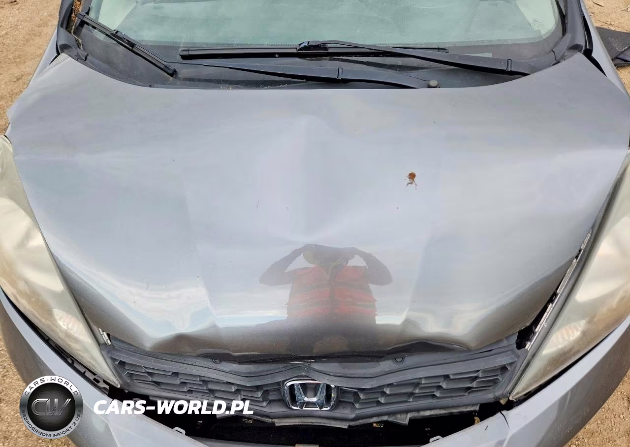 2013 Honda Fit Sport VIN:JHMGE8H53DC073431 - 11