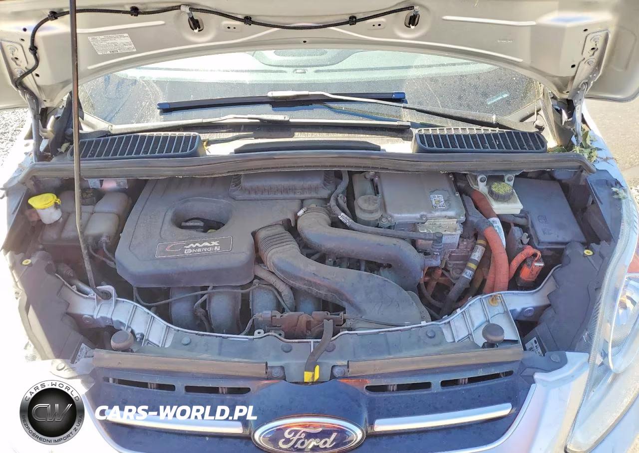 2013 Ford C-Max Premium VIN:1FADP5CU3DL554085 - 11