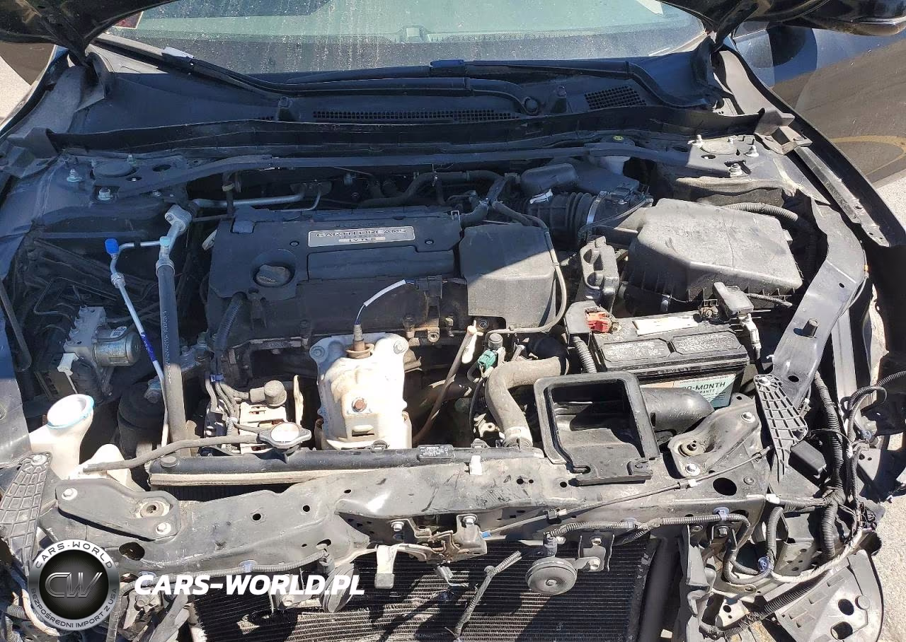2014 Honda Accord Exl VIN:1HGCR2F85EA106877 - 11