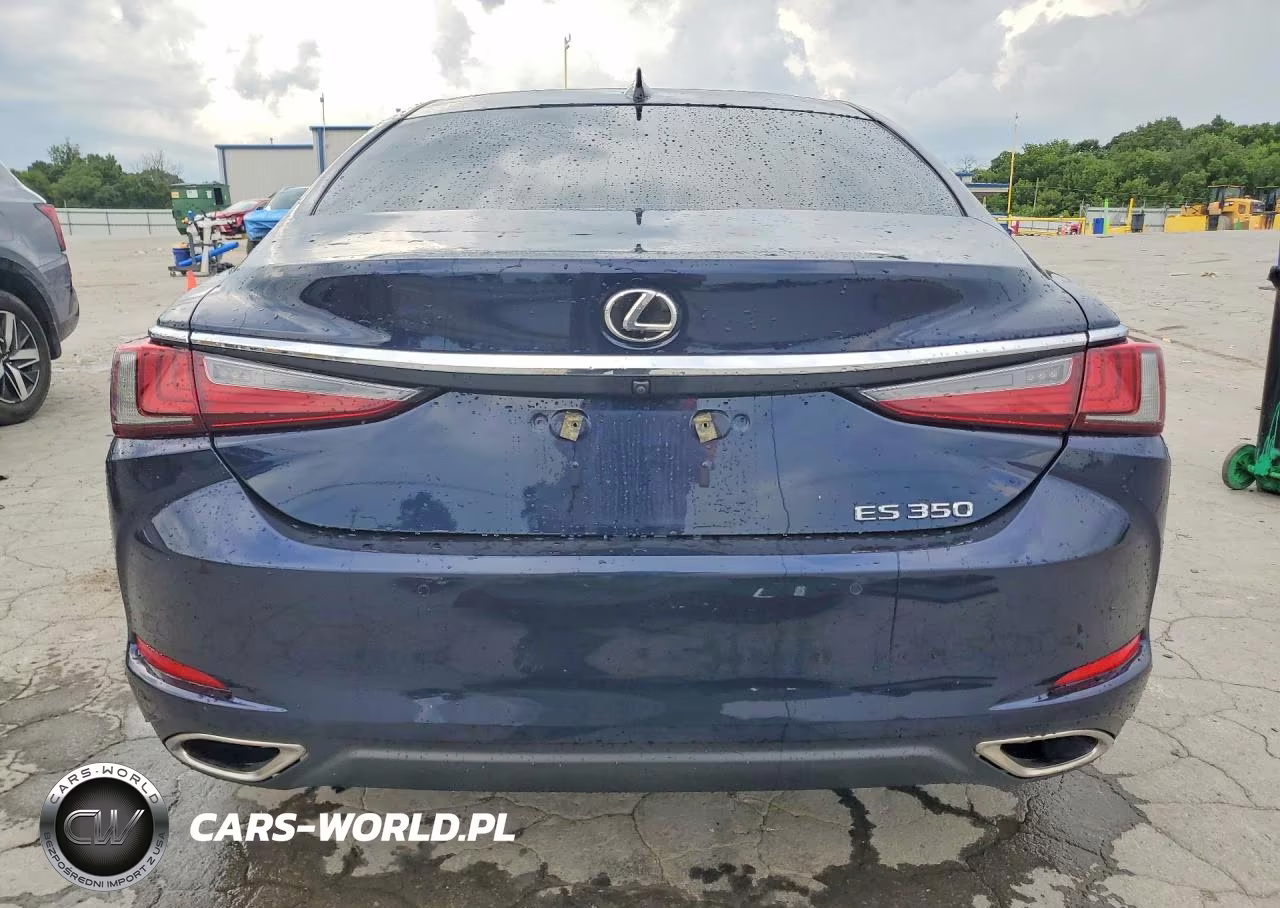 2019 Lexus Es 350 VIN:58ABZ1B10KU032098 - 6