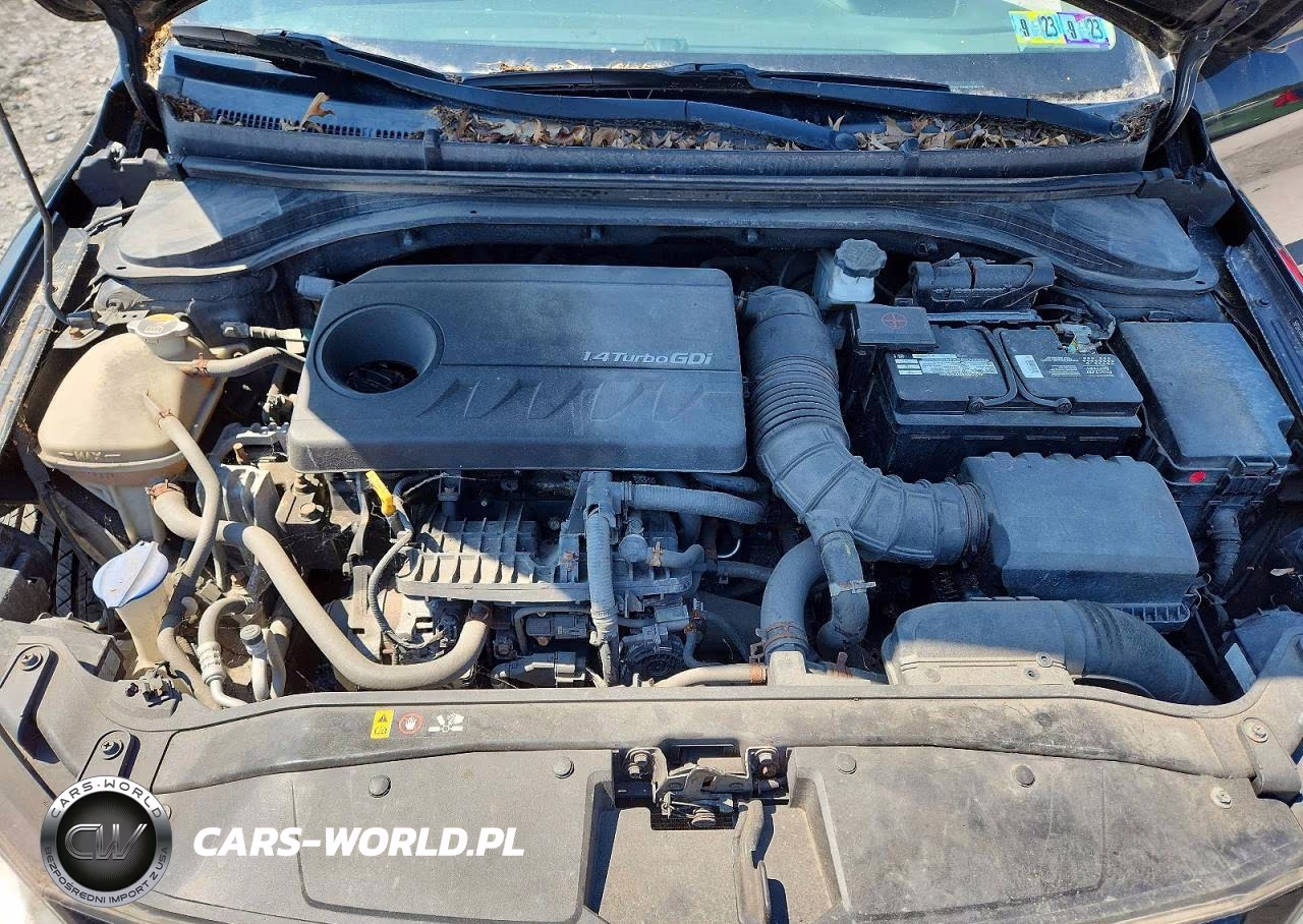 2017 Hyundai Elantra Eco VIN:5NPD94LAXHH079372 - 11