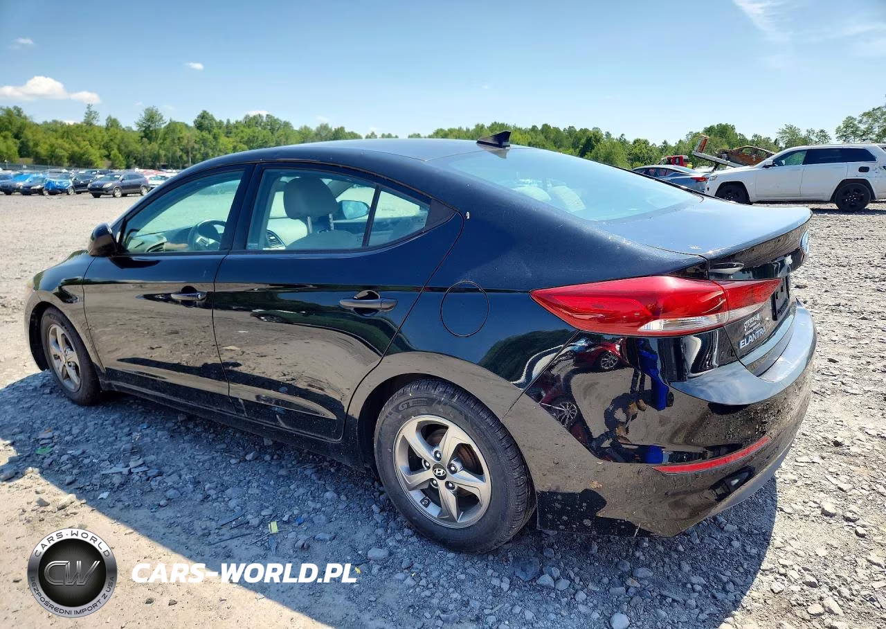 2017 Hyundai Elantra Eco VIN:5NPD94LAXHH079372 - 2