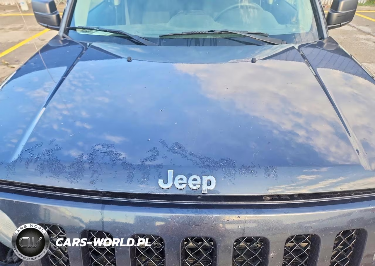 2016 Jeep Patriot Sport VIN:1C4NJRBB3GD520489 - 11
