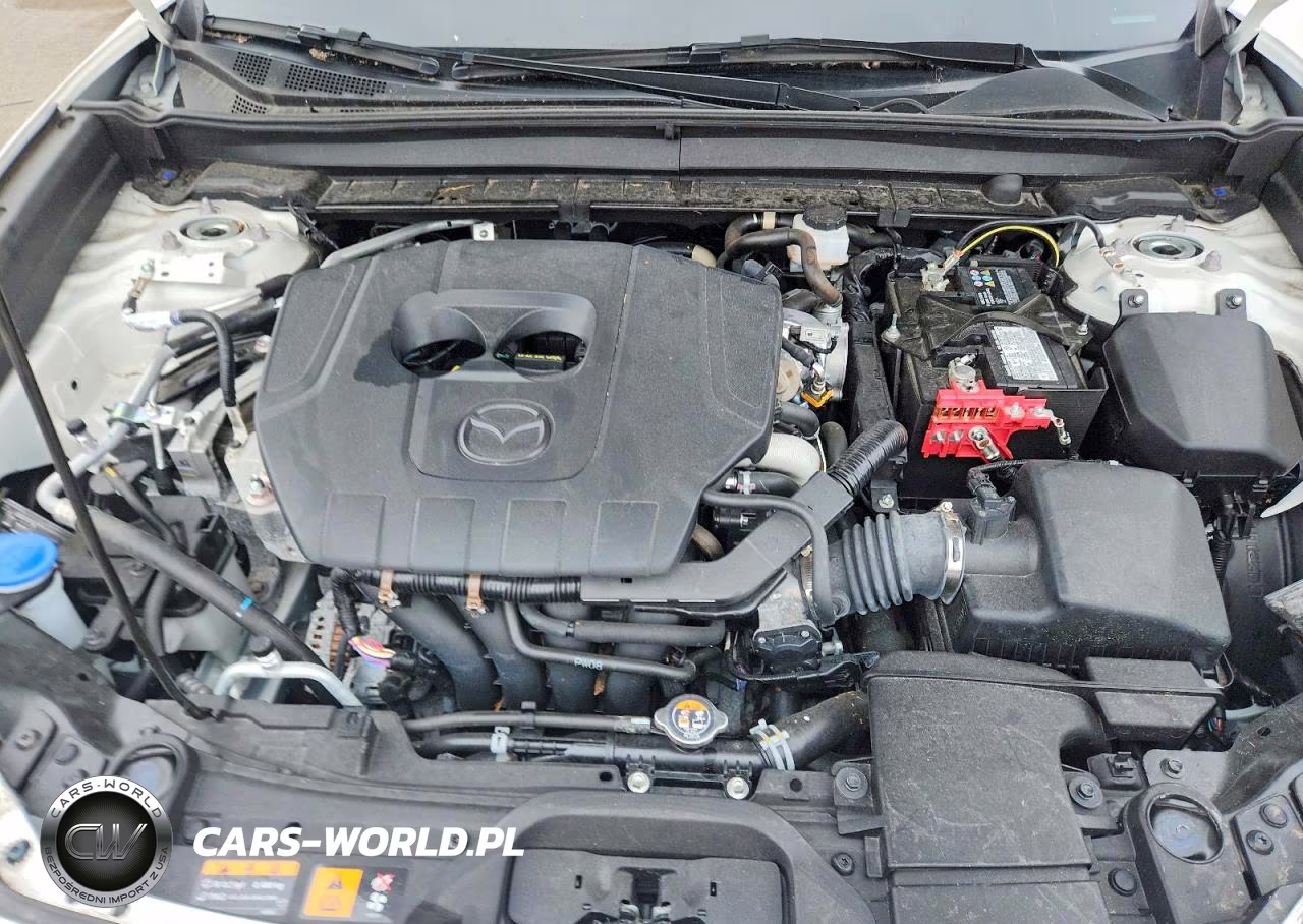 2024 Mazda Cx-30 VIN:3MVDMBAM5RM699525 - 12