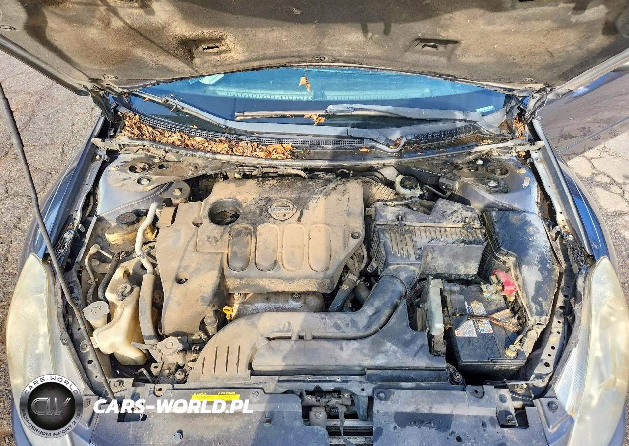2010 Nissan Altima 2.5 VIN:1N4AL2AP9AN534787 - 11