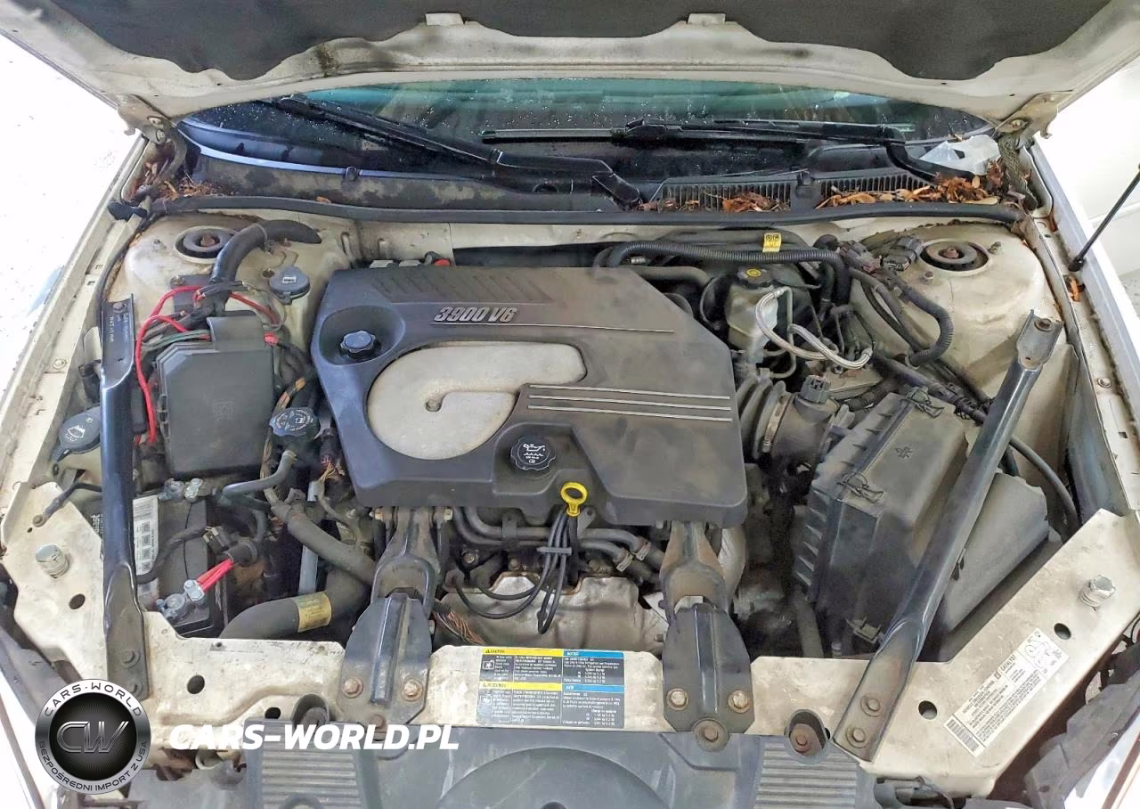 2006 Chevrolet Impala Police VIN:2G1WS551969384807 - 11
