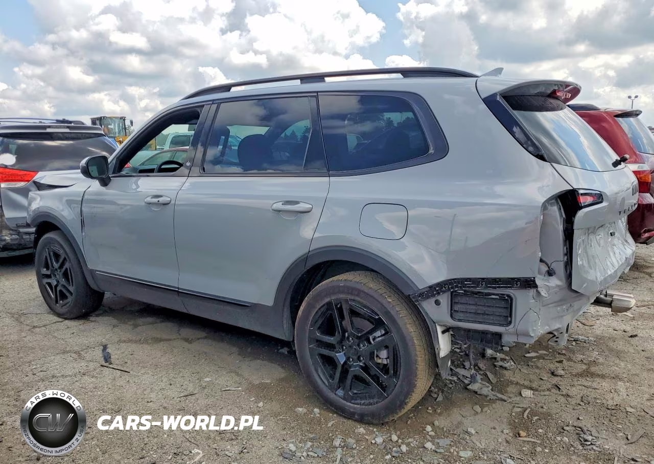 2025 Kia Telluride Ex X-Line VIN:5XYP3DGC4SG673139 - 2