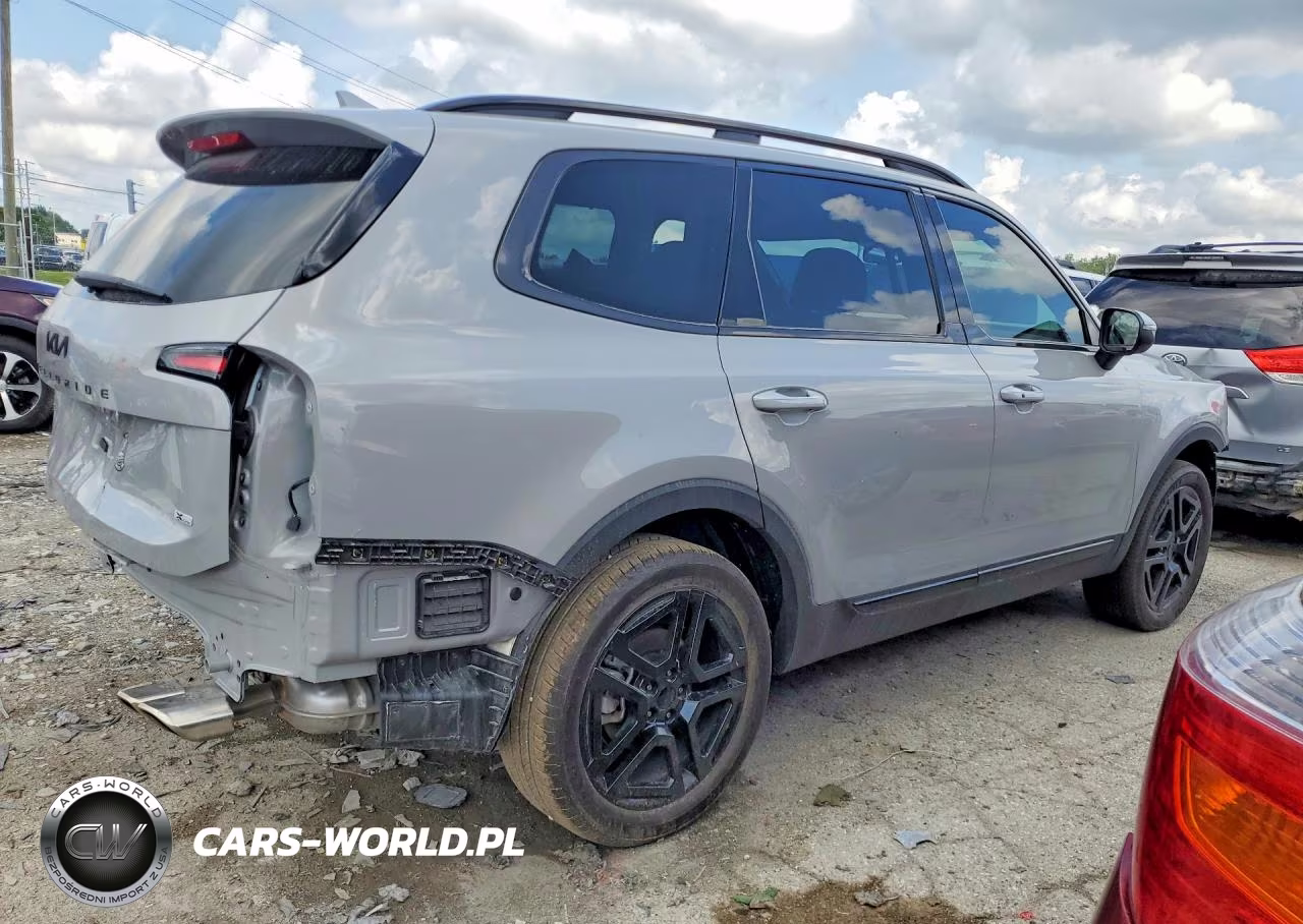2025 Kia Telluride Ex X-Line VIN:5XYP3DGC4SG673139 - 3