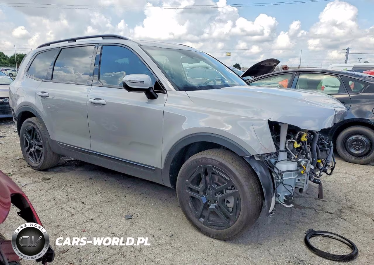 2025 Kia Telluride Ex X-Line VIN:5XYP3DGC4SG673139 - 4