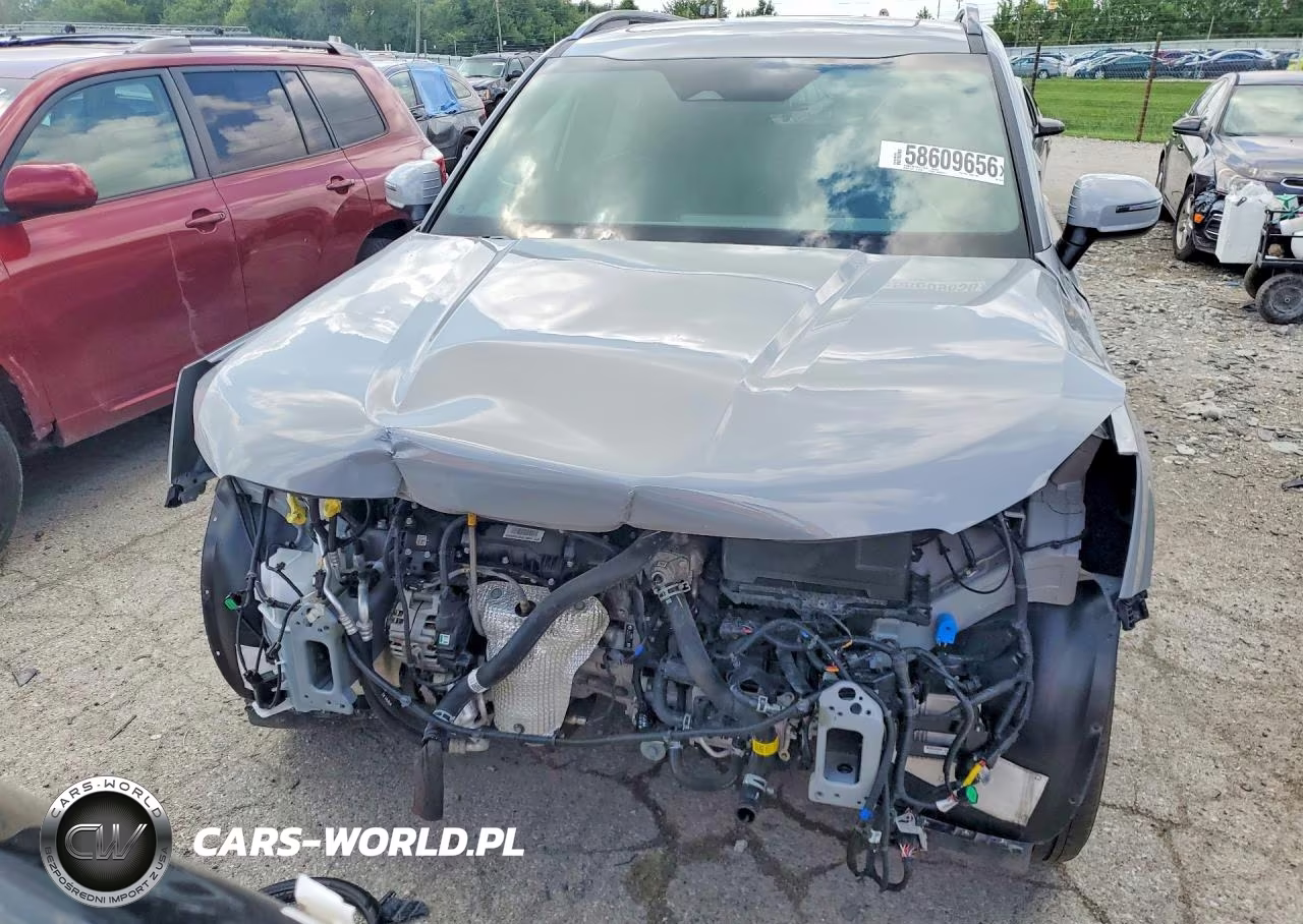 2025 Kia Telluride Ex X-Line VIN:5XYP3DGC4SG673139 - 5