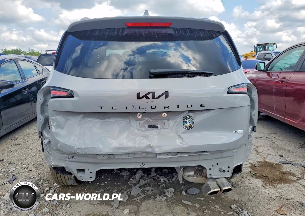2025 Kia Telluride Ex X-Line VIN:5XYP3DGC4SG673139 - 6