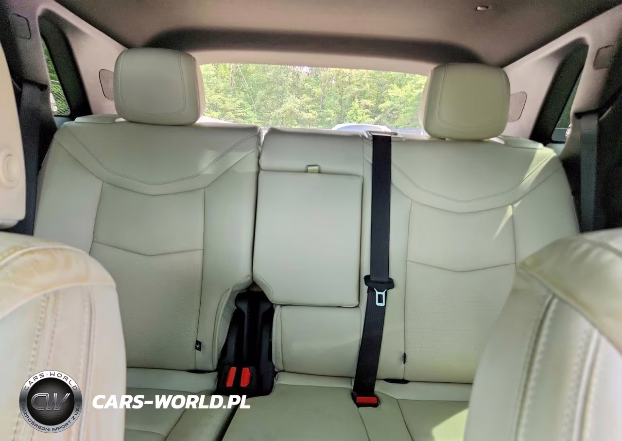 2025 Cadillac Xt5 Sport VIN:1GYKNGRS9SZ154125 - 10