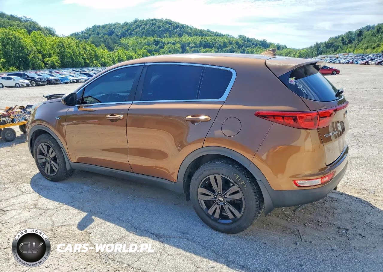 2019 Kia Sportage Lx VIN:KNDPMCAC0K7497493 - 2